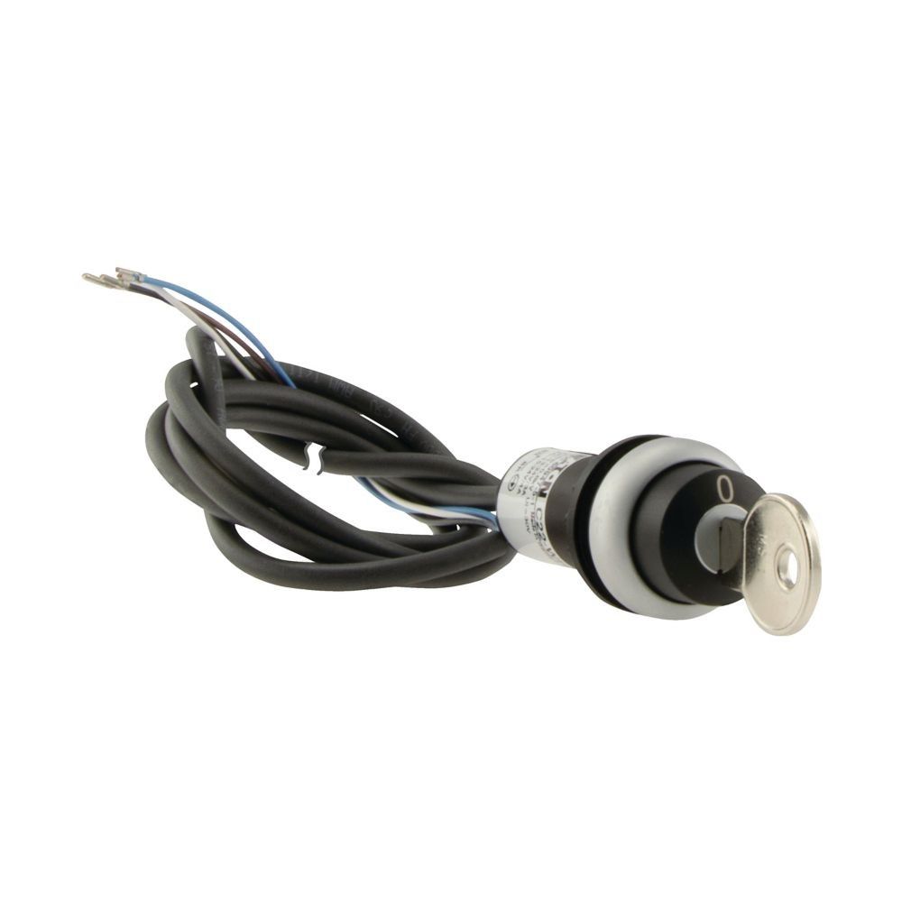 Schlüsseltaste RMQ compact C22-WS-MS1-K20-P65