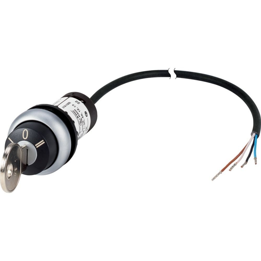 Schlüsseltaste RMQ compact C22-WS3-MS1-K20-P65