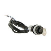 Schlüsseltaste RMQ compact C22-WS-MS1-K10-P65
