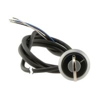 Schlüsseltaste RMQ compact C22-WS-MS1-K11-P65