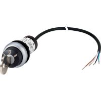 Schlüsseltaste RMQ compact C22-WS3-MS1-K20-P65