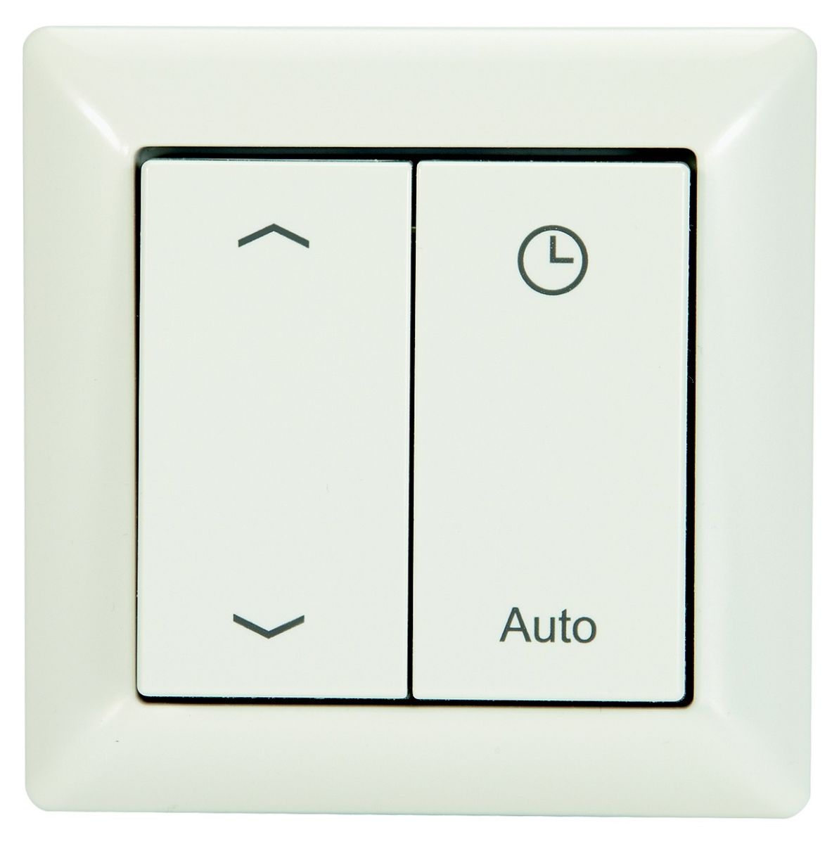 Funk-Bedienschalter ACS FS