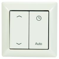 Funk-Bedienschalter ACS FS