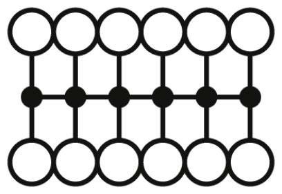 Verteilerblock PTFIX 12X2,5 PK