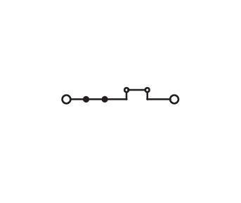 2-Leiter-Durchgangsklemme 2006-8601