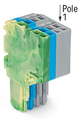 2-Leiter-Federleiste 2020-204/000-039