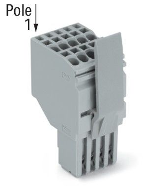 2-Leiter-Federleiste 2020-213/125-000