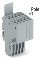 2-Leiter-Federleiste 2020-205/124-000