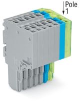 2-Leiter-Federleiste 2020-208/000-038