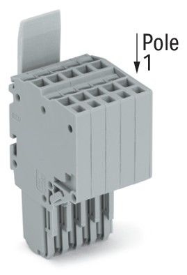 2-Leiter-Federleiste 2020-205/124-000