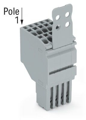 2-Leiter-Federleiste 2020-205/133-000