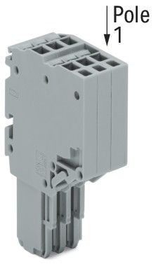 2-Leiter-Federleiste 2020-209