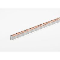 Phasenschiene G-1L-160/10
