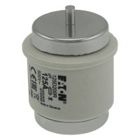 Sicherungseinsatz 125A FUSE 125A #125D200R
