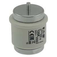 Sicherungseinsatz 125A FUSE 125A #125D200R