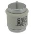 Sicherungseinsatz 125A FUSE 125A #125D200R
