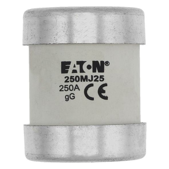 Sicherungseinsatz 250MJ25-6