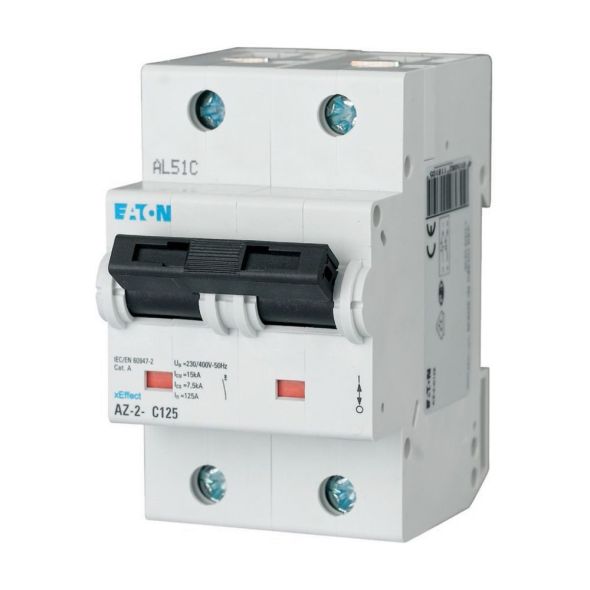 LS-Schalter 63A 2p AZ-2-C63 LS-Schalter 63A 2p AZ-2-C63