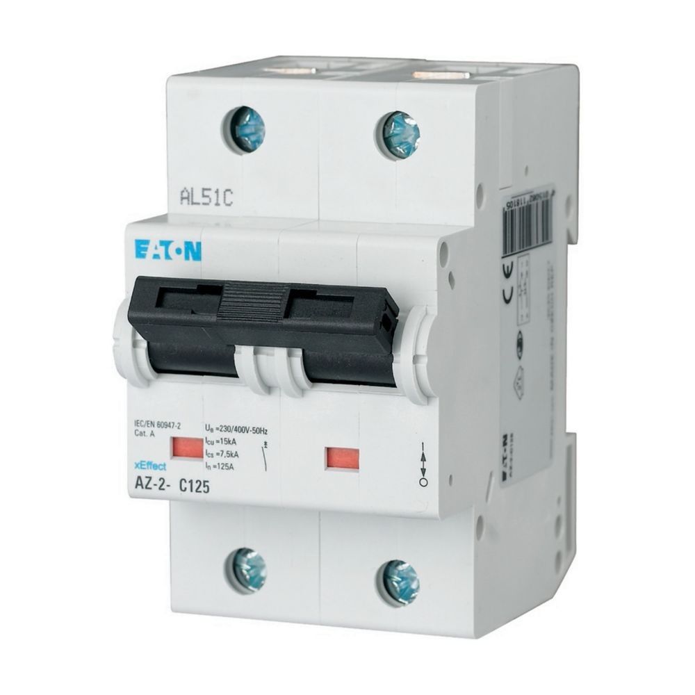 LS-Schalter 100A 2p AZ-2-C100 LS-Schalter 100A 2p AZ-2-C100