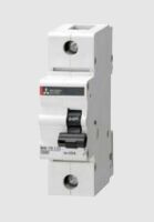 Sicherungsautomat BHW-T10 1P C80 F