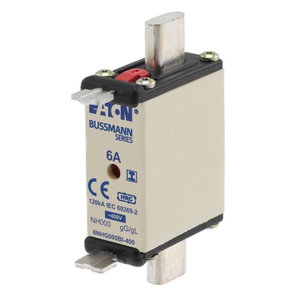 Sicherungseinsatz Nieders. 6NHG000BI-400