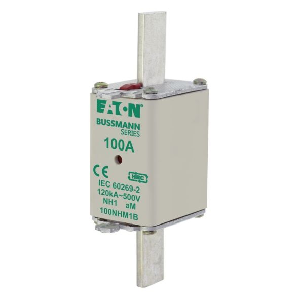 Sicherungseinsatz Nieders. FUSE NH 1 #100NHM1B Sicherungseinsatz Nieders. FUSE NH 1 #100NHM1B