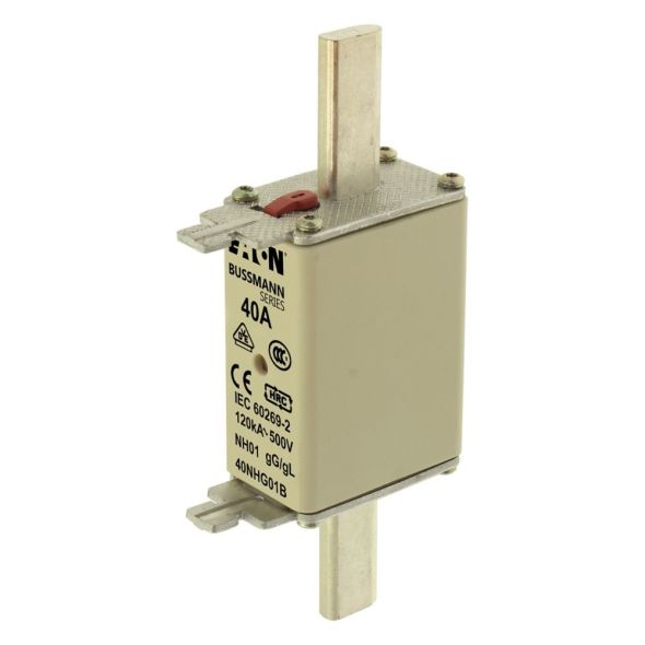 Sicherungseinsatz Nieders. NH FUSE 40#40NHG01B