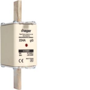 NH-Sicherung NH1 gG 690V LNH1224M6