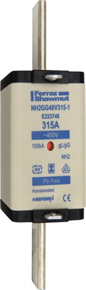 Sicherungseinsatz NH gG NH2GG40V400-1