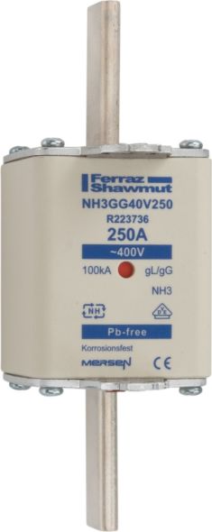 Sicherungseinsatz NH gG NH3GG40V250