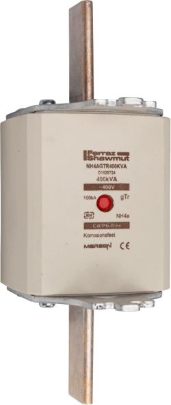 Sicherungseinsatz NH gTr NH4AGTR100KVA Sicherungseinsatz NH gTr NH4AGTR100KVA