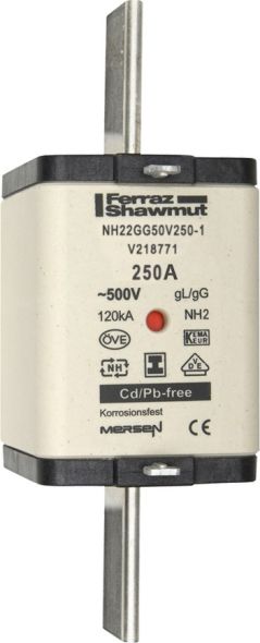 Sicherungseinsatz NH Sond. NH22GG50V250-1 Sicherungseinsatz NH Sond. NH22GG50V250-1