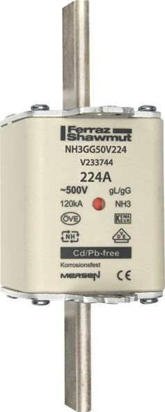 Sicherungseinsatz NH Sond. NH3GG50V100