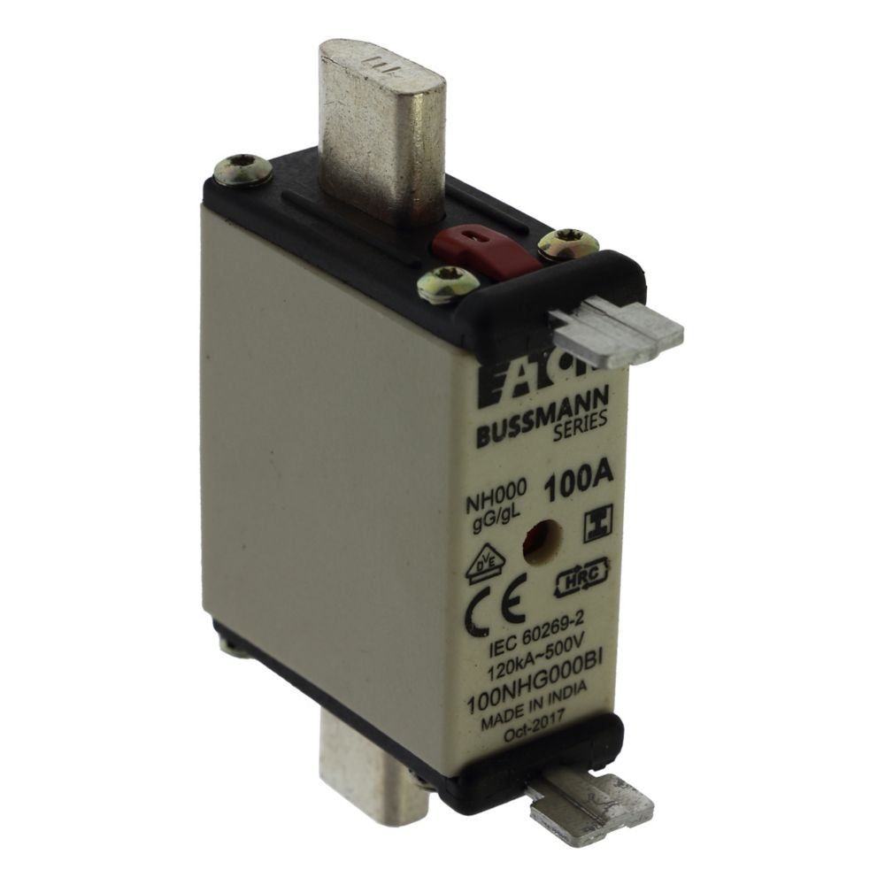 Sicherungseinsatz Nieders. 100NHG000BI