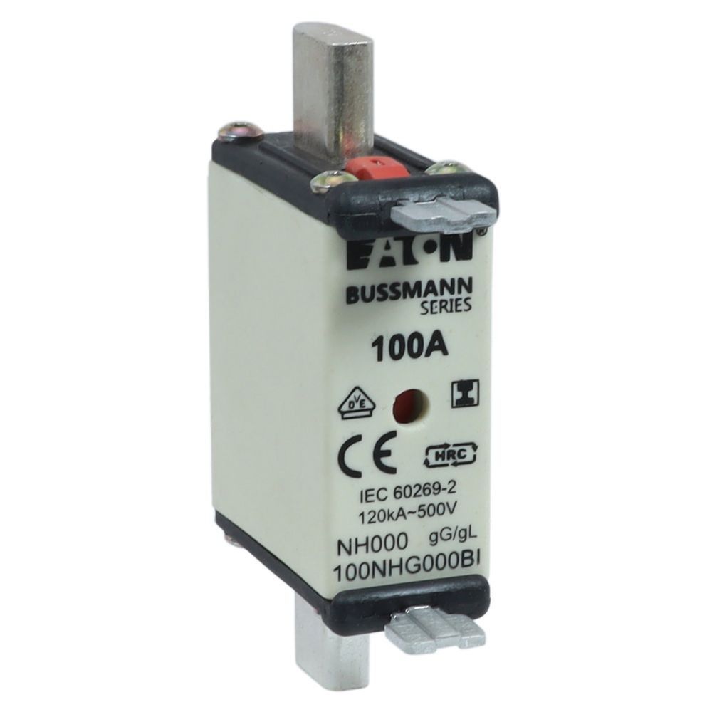 Sicherungseinsatz Nieders. 100NHG000BI