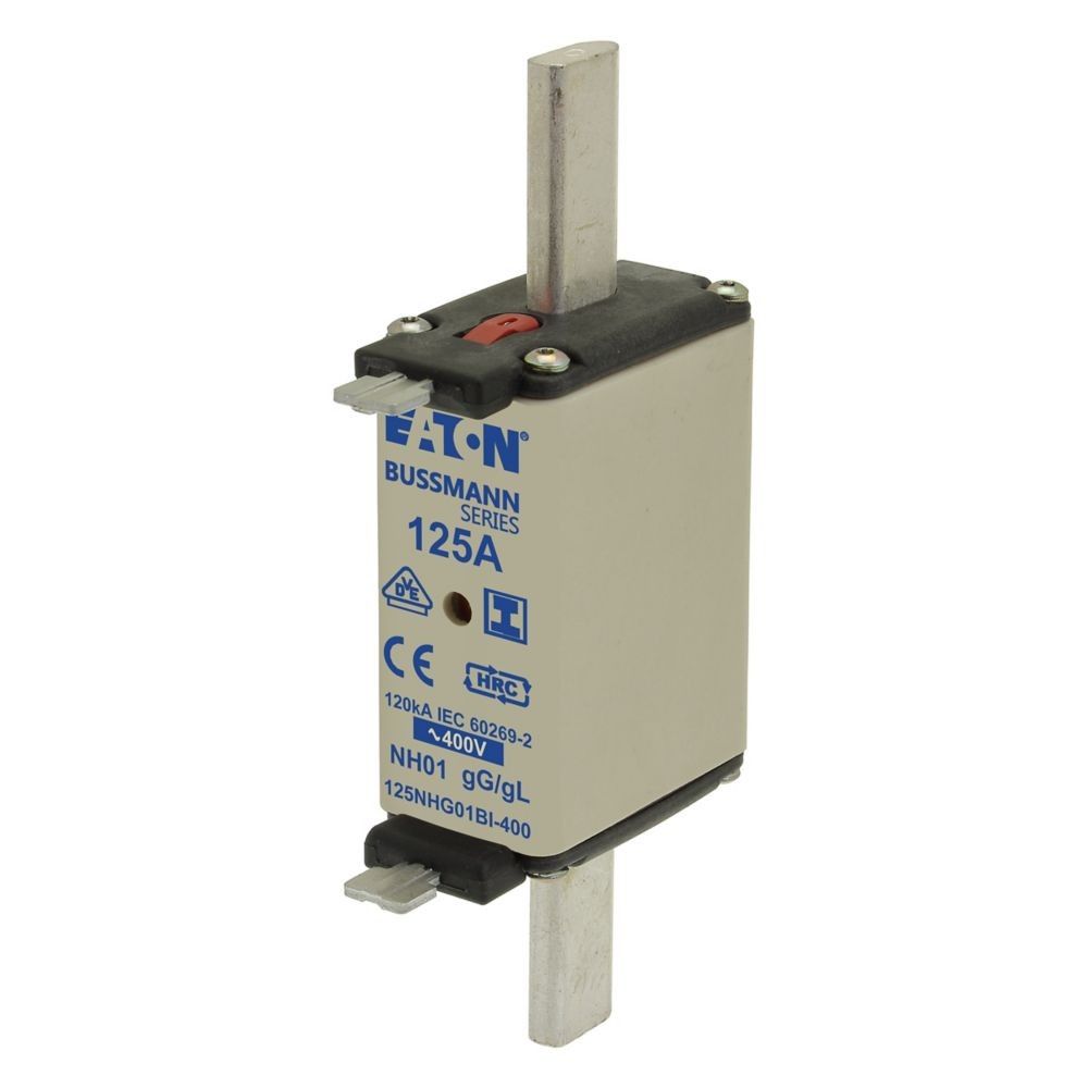 Sicherungseinsatz Nieders. 125NHG01BI