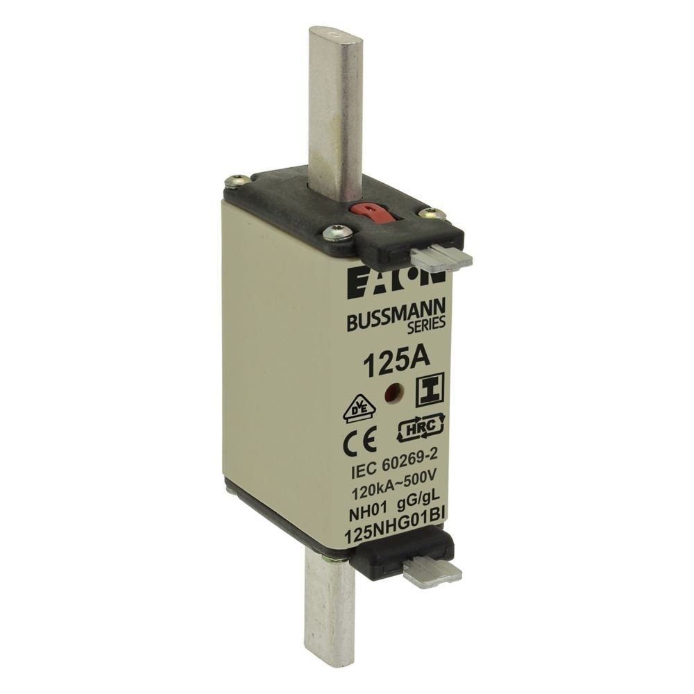 Sicherungseinsatz Nieders. 125NHG01BI