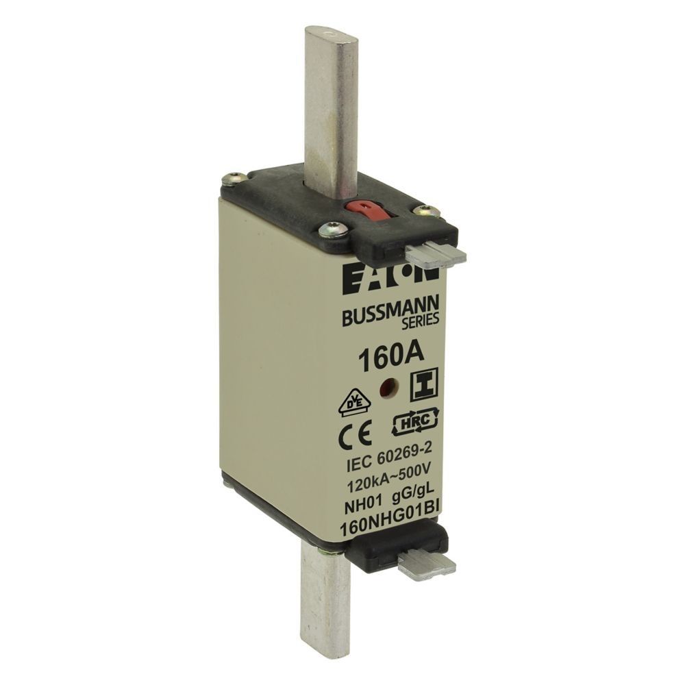 Sicherungseinsatz Nieders. 160NHG01BI