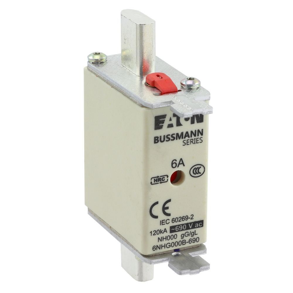 Sicherungseinsatz Nieders. 6NHG000B-690