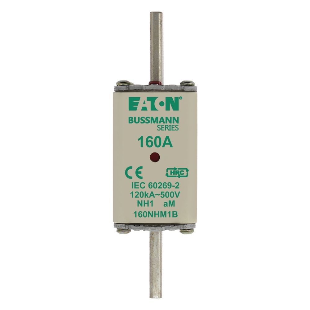 Sicherungseinsatz Nieders. FUSE NH 1 #100NHM1B