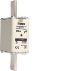 NH-Sicherung NH1 gG 690V LNH1250M6