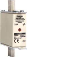 NH-Sicherung NH000 gG LNH00025M6