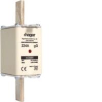 NH-Sicherung NH1 gG 690V LNH1224M6