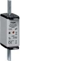 NH-Sicherung NH1C gG LNH1125MK