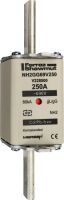 NH-Sicherungseinsatz SF NH2GG69V355