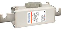 Sicherungseinsatz gR D121GC75V250EF