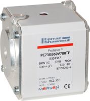 Sicherungseinsatz gR PC73GB69V700TF
