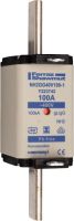 Sicherungseinsatz NH gG NH2GG40V100-1
