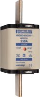 Sicherungseinsatz NH gG NH3GG40V400-1