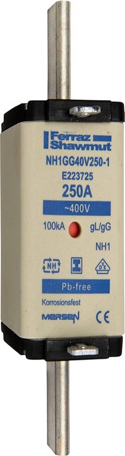 Sicherungseinsatz NH gG NH1GG40V200-1 Sicherungseinsatz NH gG NH1GG40V200-1